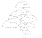 2D Tree - Elevation 6 
