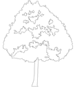 2D Tree - Elevation 8 