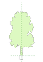2D Tree elevations 