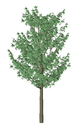 3D 3d tree 
