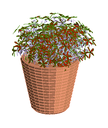 3D Flower basket 