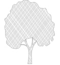 2D Tree - Elevation 12 