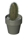 3D Potted Plant 