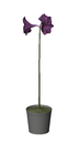 3D Potted Plant 4 