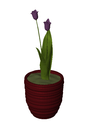 3D Potted Plant 5 