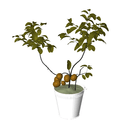 3D Potted Plant 8 