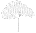2D Tree - Elevation 2 