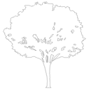 2D Tree - Elevation 4 