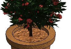 Potted_Plant_3D